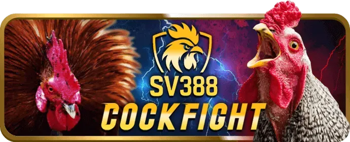 Đá gà trực tuyến 06nk88